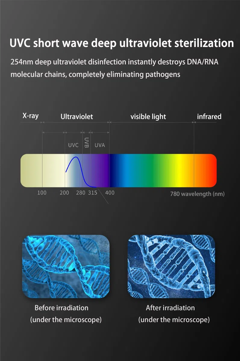 Winnes Stérilisateur de brosse à dents avec lumière UV, séchage à l'air extrêmement rapide, fonctionnement intelligent double mode pour protéger la santé bucco-dentaire de toute la famille, Blanc.,